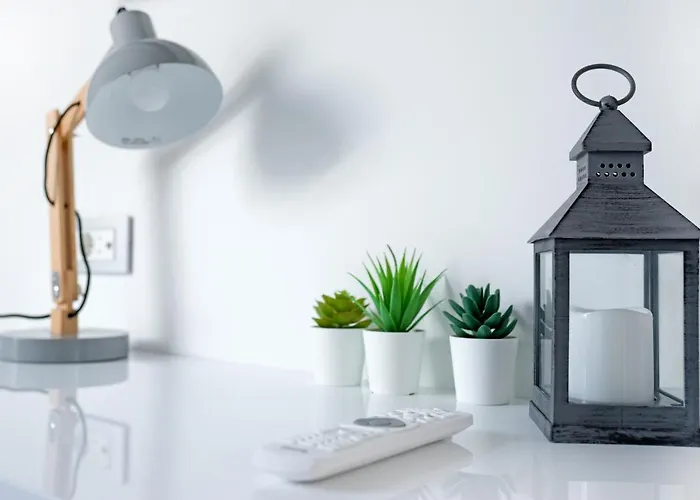 Apartment The Look *